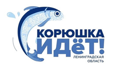 Заседание организационного комитета по подготовке и проведению Ленинградского областного фестиваля «Корюшка идёт!»